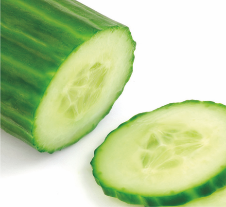 Frische Gurke