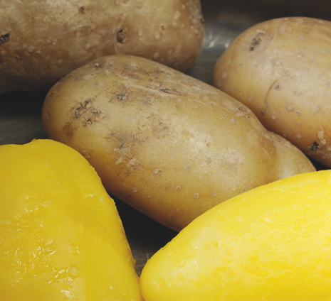 Frische Kartoffeln
